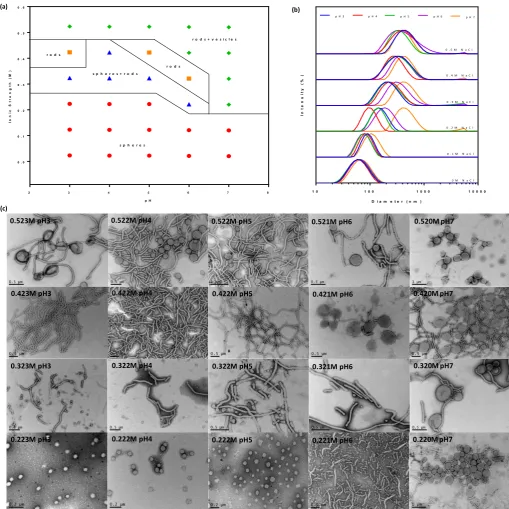 Fig. 5 (a) Detailed phase diagram constructed for P(DEAEMA30-co-PEGMA7)-b-PHPMA at 16.4% w/w HPMA concentration by systematic variation of ionic strength and pH value