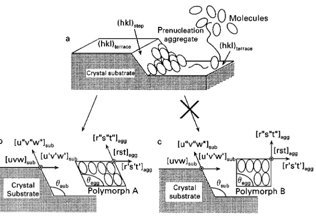 Figure 8Schematic representation of LDE on a single-crystal substrate and the role of LDE in selective nucleation of polymorphs.Symbols are defined in the original reference