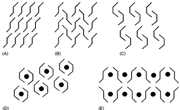 Figure 1(A)}(C) are schematic illustrations of differ-ent polymorphs of a compound. In (A) and (B), themolecular conformation is retained but the crystalstructures are different
