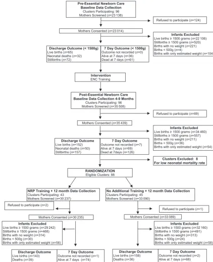 FIGURE 1Study ﬂowchart.