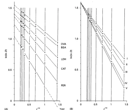 Figure 11Plot of transformed migration distances (ln(ln D)) against transformed migration times (t�1/2) of (A) marker proteins and(B) five carbonic anhydrase variants