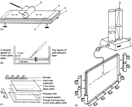 Figure 6Preparation of an ultra-thin PA gradient gel fixed to a polyester foil. (A) Rolling the polyester foil (reactive side up, e.g