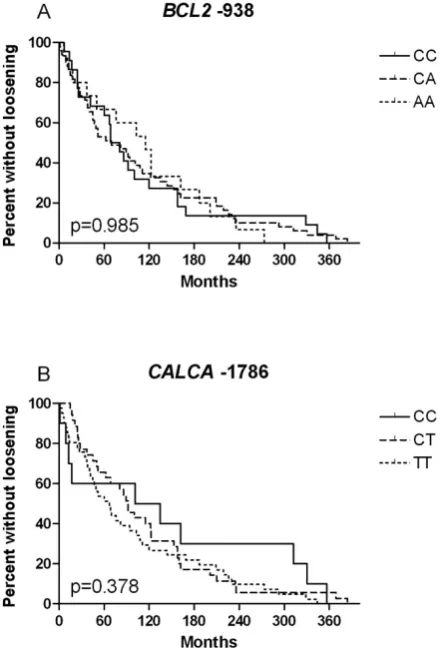 Fig. 1. Time to aseptic loosening based on Kaplan-Meiercurves. (A) Patients based on BCL2 -938 genotype