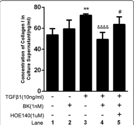 Fig. 1 acultured without TGF-versus TGF- Effect of 24 and 48 h of TGF-β1 stimulation on RPE cell proliferation
