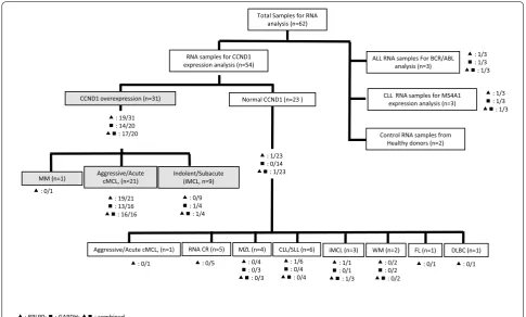 Fig. 1 Samples tree screened with SOX11 RTqPCR. Number of patients positive for SOX11 expression respectively with the use of (filled triangle) RPLP0, (filled square) GAPDH or both (filled triangle, filled square) reference genes
