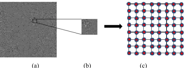 Fig. 1. (a) Residual signal generated by intra-prediction of the red (R) component of a pathology image depicting lymphatic tissue