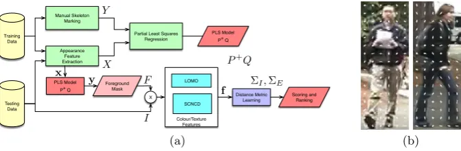Fig. 1. (a) System diagram of the proposed method showing PLS model building, featureextraction and matching; (b) Examples of appearance representation using HOG features.