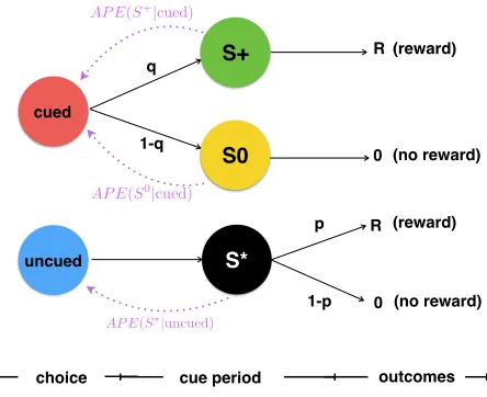 Figure 1: Formal representation of the information-choicetask as a Markov Decision Process (MDP)