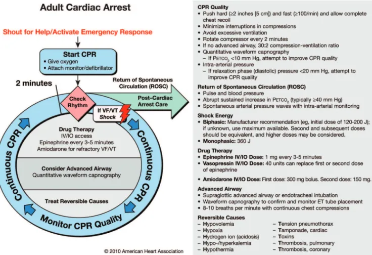 Figure 2. ACLS Cardiac Arrest Circular Algorithm.