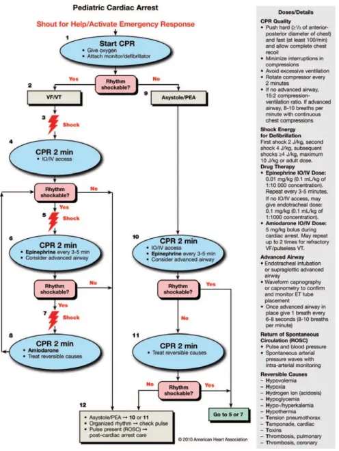 Figure 1. PALS Pulseless Arrest Algorithm.