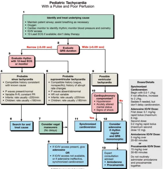 Figure 3. PALS Tachycardia Algorithm.