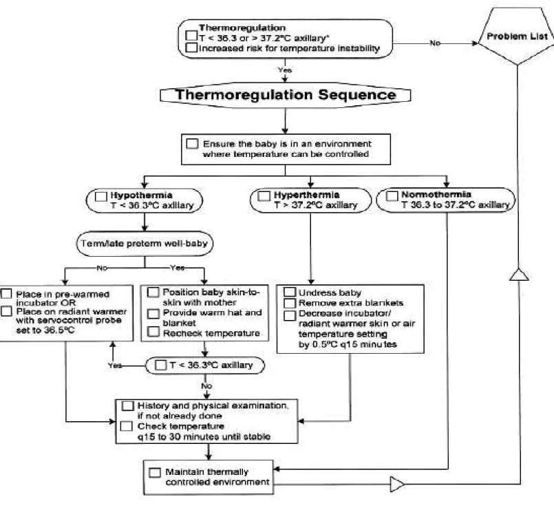 Figure 4: The Thermoregulation Sequence                                                            