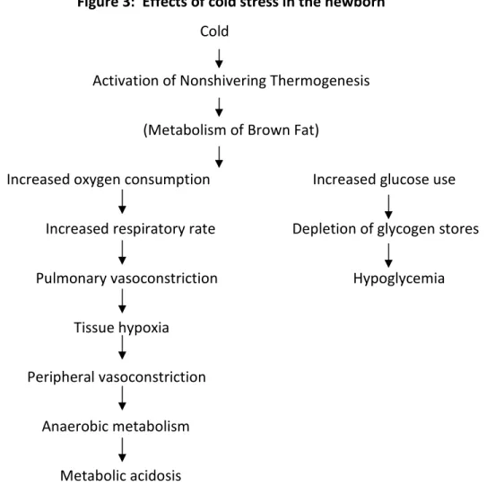 Figure 3:  Effects of cold stress in the newborn          Cold 