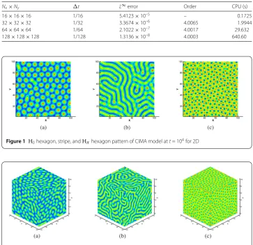 Figure 1 H0 hexagon, stripe, and Hπ hexagon pattern of CIMA model at t = 104 for 2D