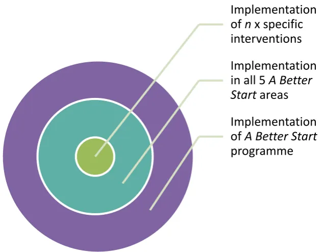 Figure 1: The three levels of implementation encompassed in the evaluation 