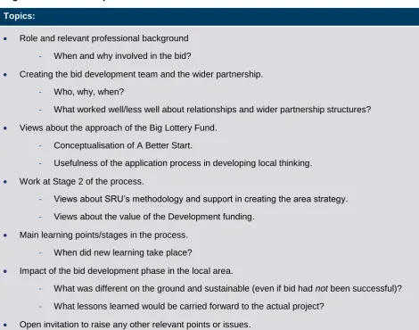 Figure 6: The main topics structured in to the interviews 