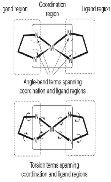 Figure 2.7; Schematic representation of ligand and coordination regions and force field terms 
