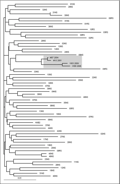 Fig. 1. The maximum likelihood phylogenetic tree shows the close relationship between patient W and M sequences