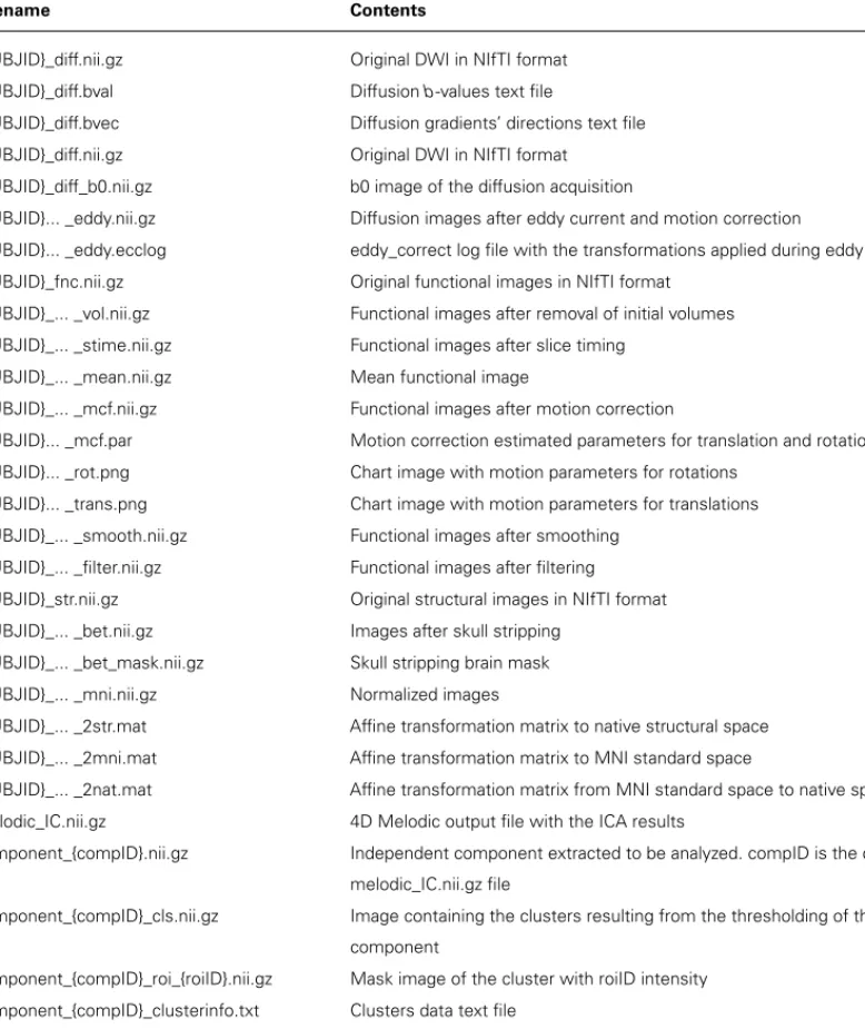 Table 1 | Files produced by BrainCAT.