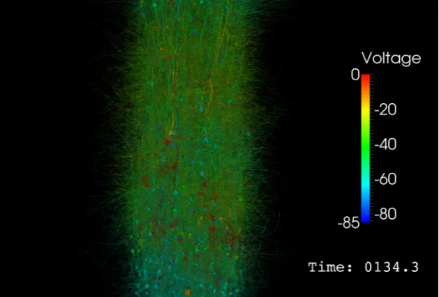 Figure 1.9: 5K neuron circuit rendered with per vertex transparency showing elec-