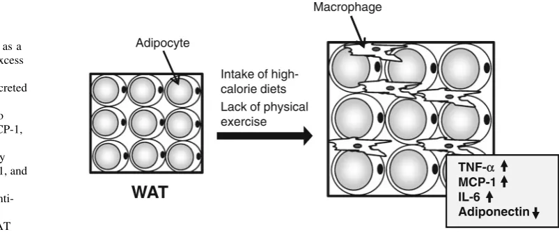 Fig. 3 Model of the
