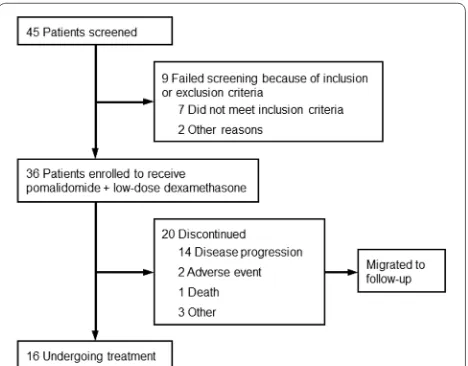 Fig. 1 Patient screening, enrollment, and follow-up in the trial