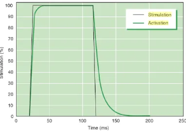 Figure 2.14. Representation of the relationship between the stimulation and the activation of the contractile element of a Hill-type model