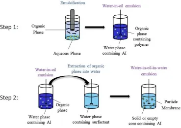 Figure 1.8: Schematic representation of microparticle synthesis via double oil-in-water solvent evaporation technique 