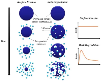 Figure 1.11: Schematic representation of surface and bulk degradation occurring within a matrix microparticle and the corresponding drug release rate 