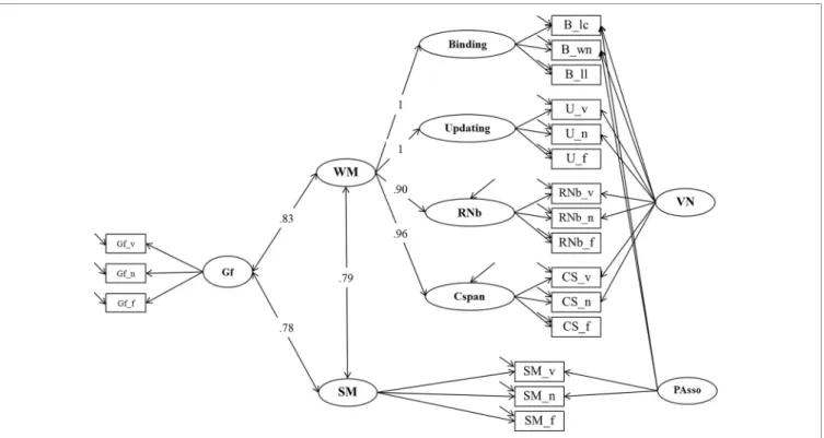 FIGURE 8 | Structural Equation Model testing the relationship of WM, SM and Gf (Model 5)