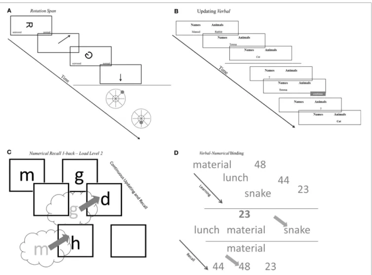 FIGURE 2 | Schematic representations of tasks. (A) Schematic representations of complex span tasks (rotation span)
