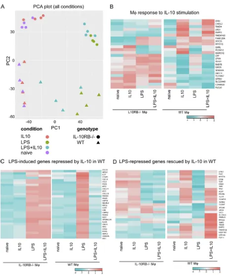 Figure 4.IL-10 selectively inhibits the LPS-mediated transcriptional response in Mφs. (A) PC analysis (PCA) was performed on all expressed genes incontrol Mφs (n = 4) and IL-10RB−/− Mφs (n = 3) stimulated with either 20 ng/ml rhIL-10 (overnight) or 2 ng/ml