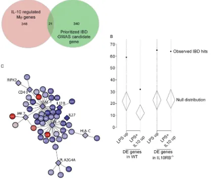 Figure 5.Overlap between IL-10deregulated by IL-10 treatment alone and IL-10–regulated genes and IBD GWAS candidate genes