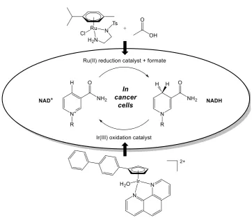 Figure 1.12. Modulation of the NAD+/NADH ratio inside cancer cells by: (a) transfer hydrogenation (reduction) of NAD+ to NADH using Ru ATH catalysts with sodium formate as a hydride source;129 (b) catalytic oxidation of NADH (abstraction of hydride) by Ir(III) complexes.143 