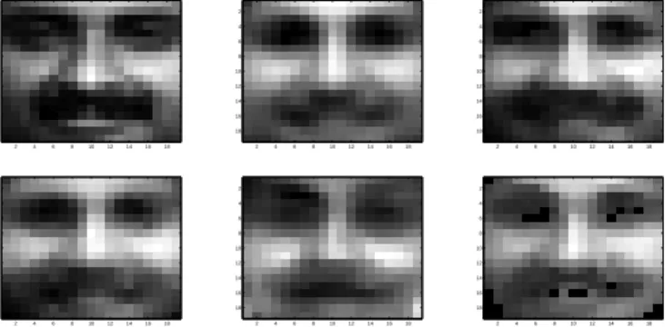 Figure 6.2: From top left to bottom right: The original face image and its reconstructions by Lee and Seung’s NMF, P-NMF using KL divergence, Hellinger divergence, Pearson divergence, and dual Pearson divergence.