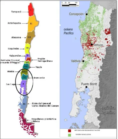 Figure 6 Map of the Biobio and Araucanía Region 