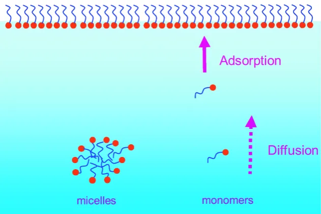 Figure 1.1: Schematic displaying surfactant molecular structure, and behaviour in solutionincluding the adsorption monolayer formation