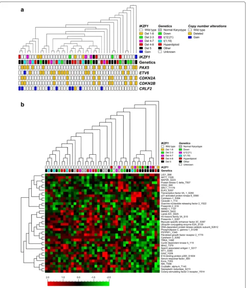 Fig. 2 Kinome profile in Philadelphia chromosome negative pediatric BCP-ALL patients. a Unsupervised hierarchical clustering of 45 pediatric BCP-ALL cases; 13 IKZF1 deleted, 1 IKZF1 gain, and 31 IKZF1 wild type Philadelphia chromosome negative patients bas