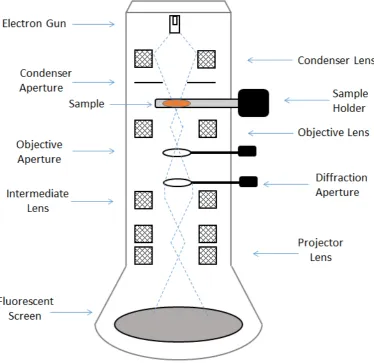 Figure 3.5: A simpliﬁed schemaic of a TEM column.