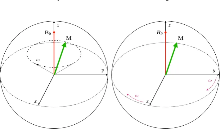 Figure 3.1: (left) In the laboratory frame, the magnetisation vector (green arrow)precesses on a cone about the external magnetic ﬁeld B0 at the Larmor frequency!L