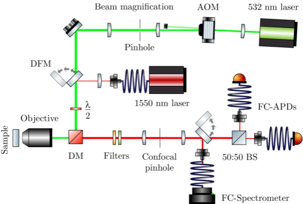 Figure 5.2: Schematic of the confocal microscope.