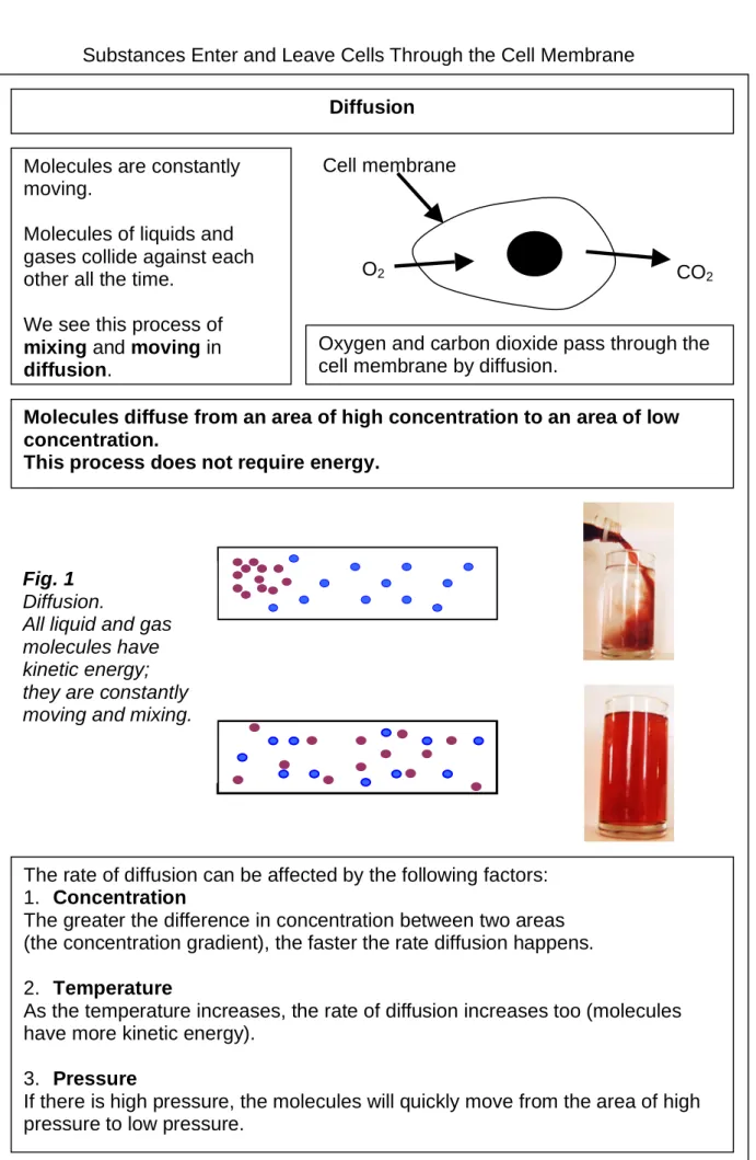 Fig. 1  Diffusion. 