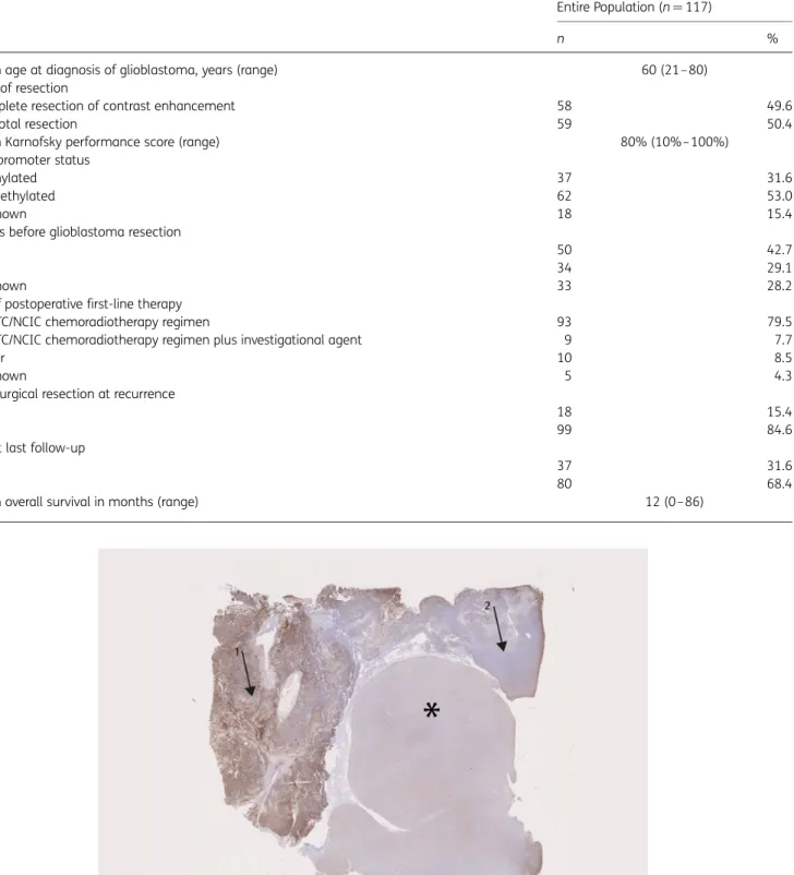 Fig. 1. Low-magnification overview (anti-PD-L1 immunostaining, original magnification ×2) showing prominent and patchy PD-L1 expression (arrow 1: positive area, arrow 2: negative area) in tumor tissue of a glioblastoma and lack of PD-L1 expression in the a