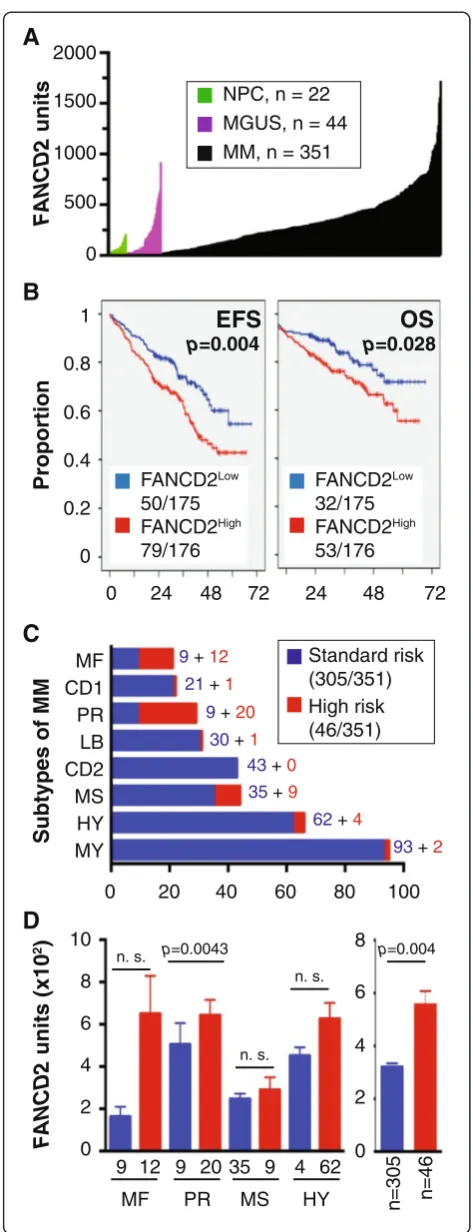 Figure 5 FANCD2 expression predicts poor survival in a subset ofpatients with newly diagnosed multiple myeloma