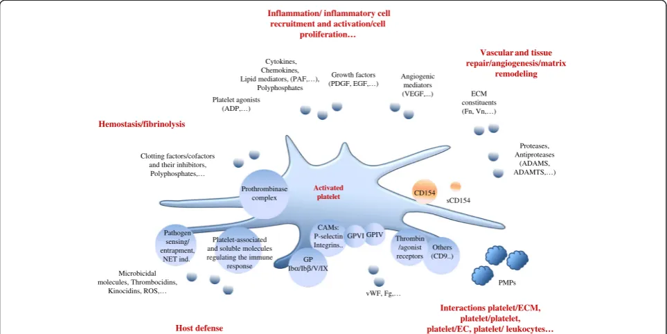 Figure 1 Platelets have a pleiotropic range of biological roles that extend beyond hemostasis