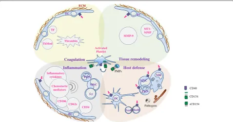 Figure 2 CD154 is a universal contributor to platelet functions.form (sCD154). Platelet CD154, directly or indirectly, is a molecular driver of inflammation, coagulation, tissue remodeling, and host defense,processes that intersect at multiple levels