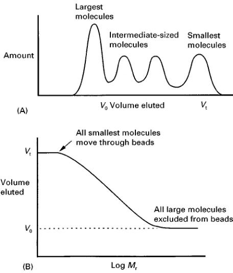 Figure 3(A) The elution pattern of a mixture of proteins fromVintermediate-sized molecules fall on a straight line over abouta 10-fold increase in molecular weight range