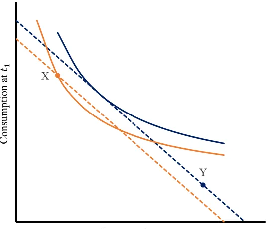 Figure 1.3. The budget constraint lines of two options with different net present 