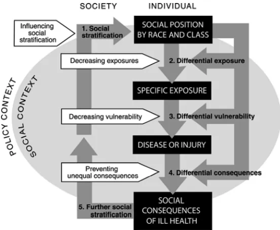 Figure 3 adds the dimension of time,depicting how underlying resourcesand opportunities shape living andworking conditions, which, in turn, in-ﬂuence health at each stage of life