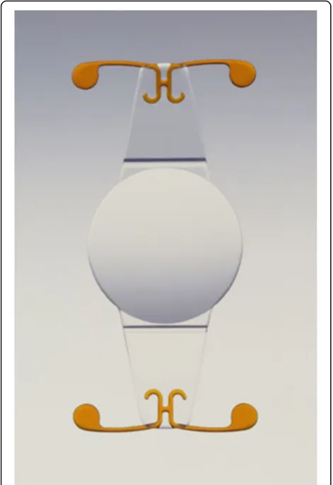 Table 2 Accommodative intraocular lenses main features. Hydroxyethylmethacrylate (HEMA), intraocular lens (IOL)